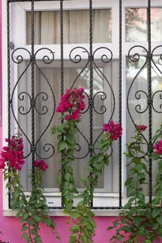A beautifully crafted window adorned with vibrant bougainvillea and intricate ironwork