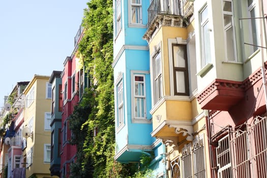 Charming and colorful buildings, beautifully adorned with lush greenery in an urban scene