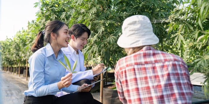 Experts engage in detailed discussions about cannabis cultivation techniques in a greenhouse setting.