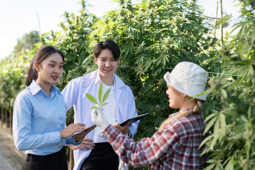 Experts discuss innovative cannabis cultivation methods in a greenhouse highlighting research and collaboration.