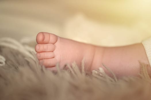 Closeup of a newborn baby's bare feet. Maternity and childhood concept. High quality photo