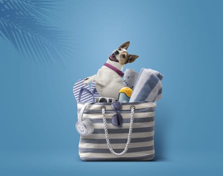 Lovely cheerful dog in a beach bag: take your dog on your summer vacation