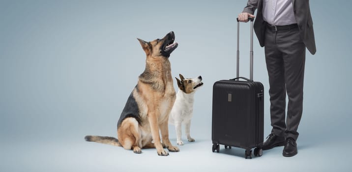 Businessman getting ready to leave and sad dogs staring at him, he is leaving them at home alone