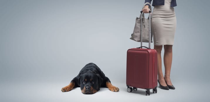 Businesswoman going on vacation with her luggage and sad lonely dog lying next to her, she is leaving her pet at home alone