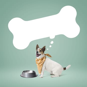 Hungry dog wearing a bib and waiting next to an empty bowl, bone shaped speech balloon
