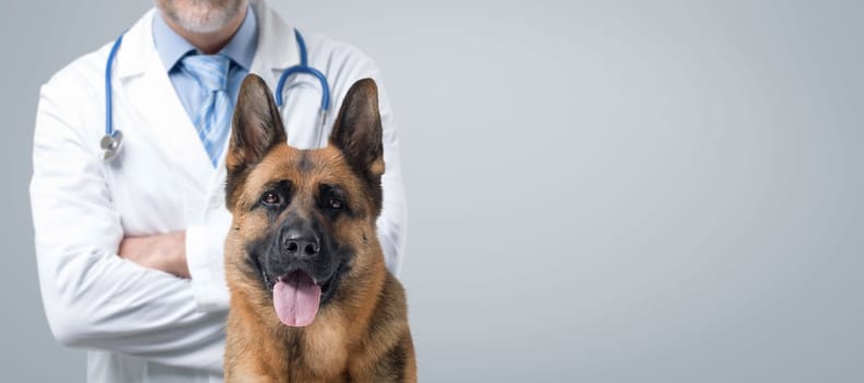 Confident veterinarian with crossed arms and happy dog posing together, pet care concept, banner with copy space