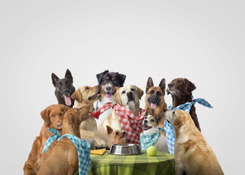 Group of happy dogs sitting at the table and waiting for food together, copy space, pet food concept