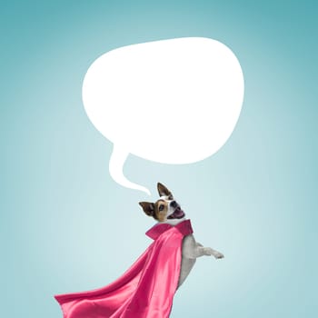 Cute funny superhero dog with a cloak and speech balloon with copy space