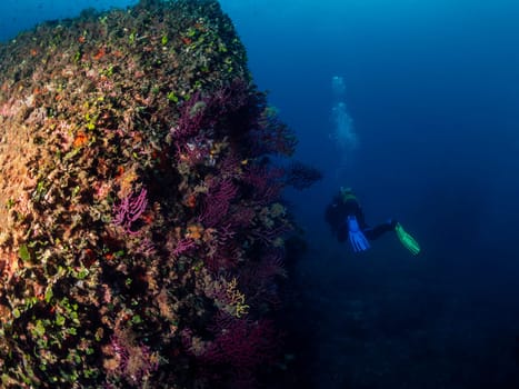 distant scuba diver diving near rocky formation with colorful coral while swimming in clear deep sea, concept of underwater adventure and active leisure