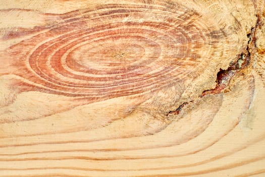 Light wood texture showing growth rings and knot detail.