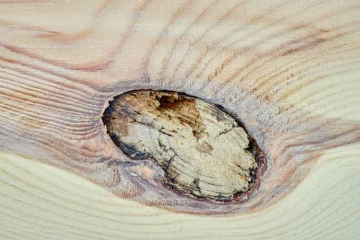 Close-up of light wood plank surface revealing intricate growth rings and a prominent knot, showcasing natural beauty and texture