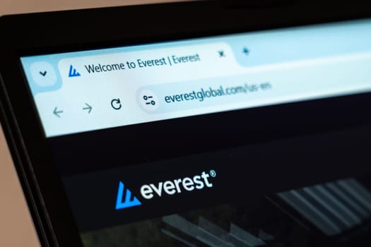 New York, USA - January 07, 2025: Everest Re Group website displayed on computer screen showcasing insurance and reinsurance solutions