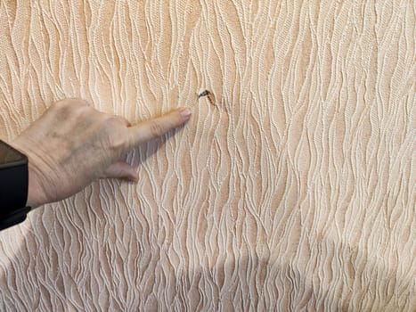 Wallpaper displays a significant tear with a hand pointing to the damage, illustrating the need for repair.