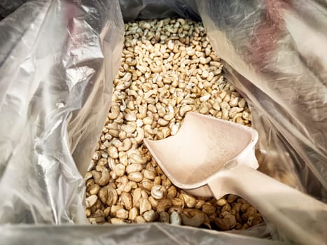 A variety of nuts fills a large container at a market, inviting shoppers to choose their favorites. A plastic scoop lies on the surface, ready for use. Customers can select fresh, healthy snacks.
