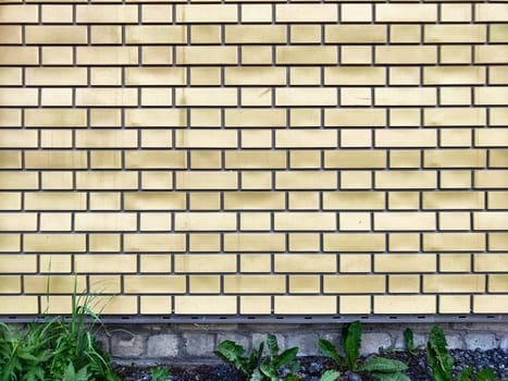 A yellow brick wall stands tall with green plants growing at its base under clear daylight.