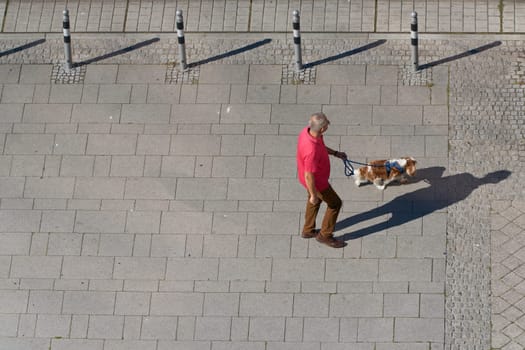 Elderly man with dog walking through the city. Text space on the left side.