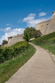 Hiking trail through vineyards to Marienberg Fortress, Festung Marienberg above the city of Wuerzburg in Germany