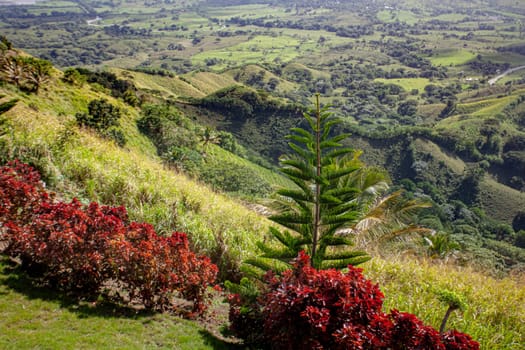 Vibrant flora frames a scenic view of the verdant hills and valleys of montana redonda in the dominican republic