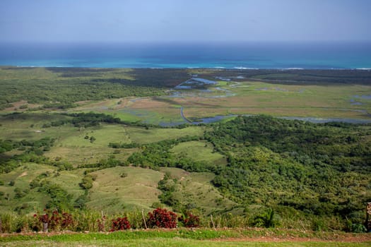 Lush vegetation and the atlantic ocean meet in a stunning landscape view from montana redonda, miches, dominican republic