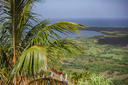 Lush palm tree leaves frame a scenic view of rolling hills, a serene lagoon, and the distant ocean in montana redonda