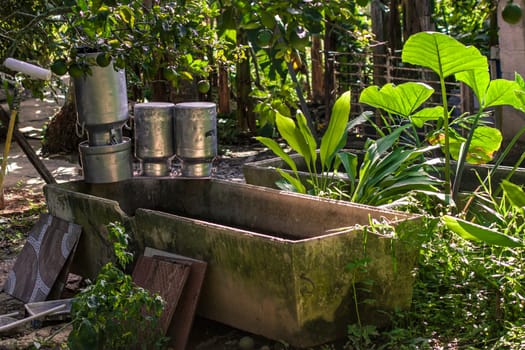Weathered concrete troughs and metal milk cans sit beneath a citrus tree in a tropical garden in montana redonda, dominican republic