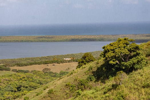 Scenic landscape showcasing the serene beauty of a tropical lagoon, surrounded by lush greenery and distant ocean views in miches, dominican republic
