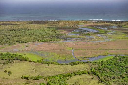 Aerial view of vibrant wetlands, palm groves, and the caribbean sea in montana redonda, showcasing the diverse ecosystem of the dominican republic