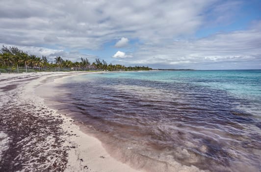 Idyllic beach in xpu-ha, mexico, featuring calm turquoise waves and lush palm trees