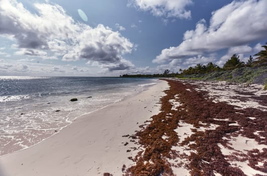 Piles of seaweed washing ashore on the beautiful white sand beach of xpu-ha in mexico's riviera maya