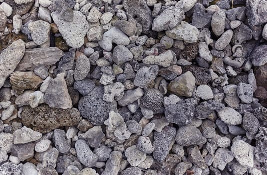 Grey and white coral fragments and rocks forming a natural textured background on the beach of xpu-ha, riviera maya