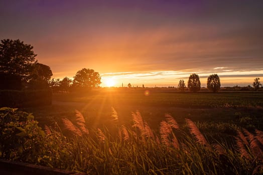 Sun sets over a tranquil countryside landscape, casting a warm golden glow on grass stalks in the foreground