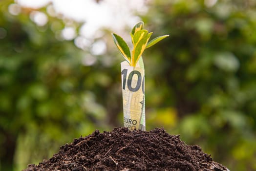 Small plant growing from a rolled up 100 euro bill in a pile of fertile soil suggesting financial growth