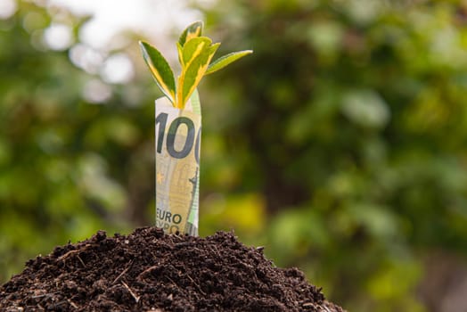 Small plant is growing from one hundred euro banknote surrounded by fertile soil, representing financial growth and investment