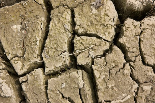 Dry cracked soil texture forming interesting patterns makes a great background for environmental and climate change issues