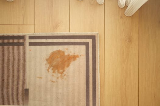 Tomato stain on a carpet indoors