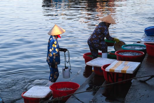 Vietnamese women at the seaport at the fresh fish market