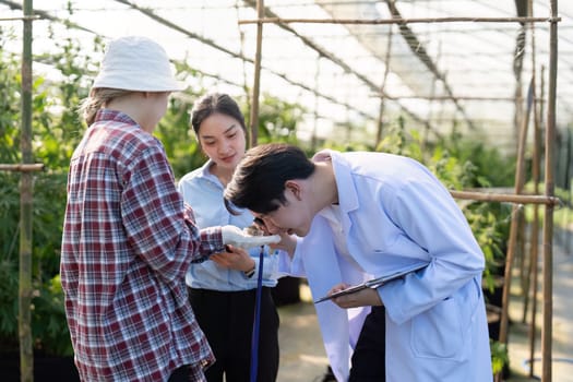 Students analyze cannabis growth in a greenhouse research-based techniques for sustainable cultivation.