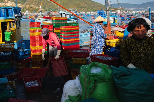 Vietnamese people in a fishing harbor harvest their crops in the morning and prepare seafood for sale at the wholesale market.Vietnam, Nha Trang - September 8, 2024
