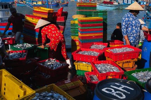 Vietnamese people in a fishing harbor harvest their crops in the morning and prepare seafood for sale at the wholesale market. Vietnam, Nha Trang - September 8, 2024