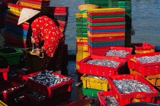 Vietnamese people in a fishing harbor harvest their crops in the morning and prepare seafood for sale at the wholesale market