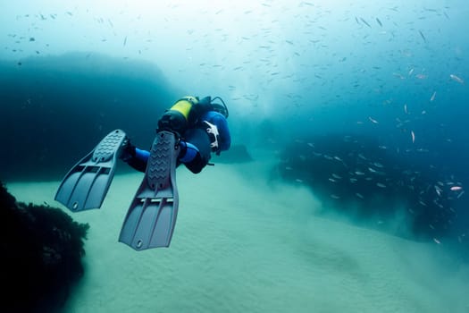 scuba diver in wetsuit and fins diving near sandy bottom of deep blue ocean with school of fish, concept of underwater adventure and active lifestyle