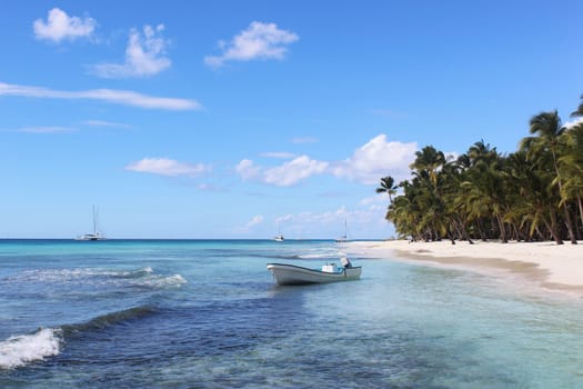 Seascape with coast near the island, beach, palm trees, boats in the Dominican Republic