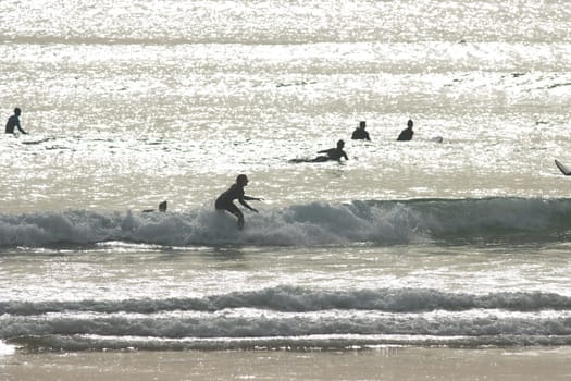 Silhouettes of people swiming in the sea and surfers at an early sunset. Mid shot