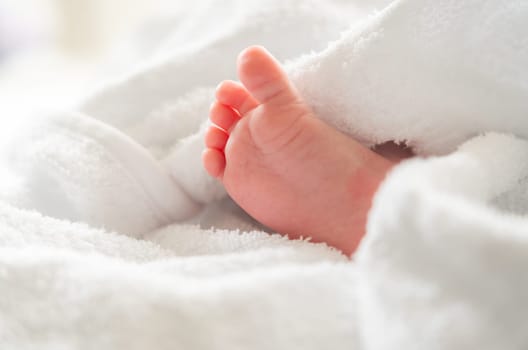 Fresh from a bath, the delicate foot of a newborn baby peeks gently from under a soft white towel, signifying pure moments of care