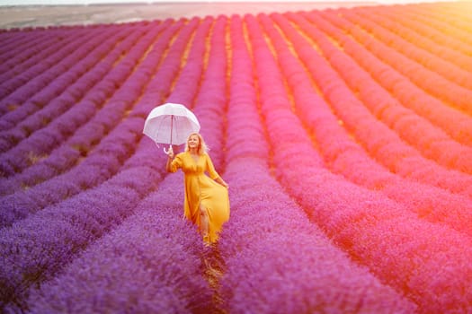 Woman lavender field. A middle-aged woman in a lavender field walks under an umbrella on a rainy day and enjoys aromatherapy. Aromatherapy concept, lavender oil, photo session in lavender.