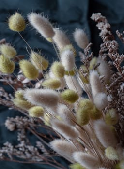 Dry fluffy bunny tails grass flowers bouquet (Hares tail grass) on Dark background. Dried lagurus ovatus flowers, use it as your Wallpaper, Poster and Space for text, Selective focus.