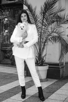 A girl holds a white fluffy dog ​​in her arms, Black and white photo. The girl is dressed in a white suit, she has long hair, she loves her dog, a Spitz. The dog is white and fluffy