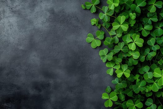 Succulent plants with green clover leaves bordering a dark slate stone background. Copy space. Generative AI..