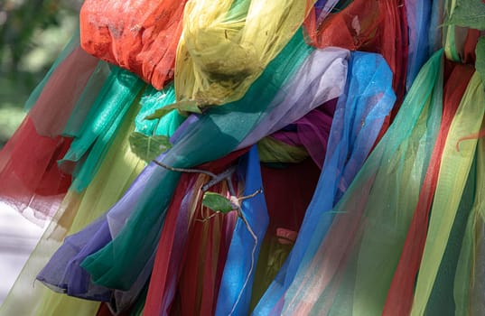 Tie vibrant colorful fabrics stands as a focal point in a spiritual setting and cultural. Various multicolored ribbons are tied wrapped around holy the massive trunk of age old sacred tree. The layers of multi-colored cloth binding to the tree, use it as your Wallpaper, Poster and Copy space, Selective focus.