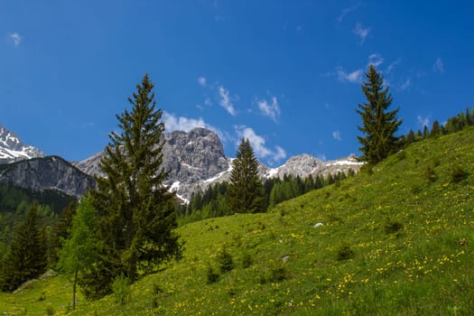 Landscape in the Austrian Alps of the Dachstein region (Styria in Austria)